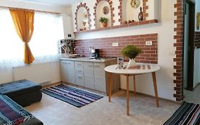 Apartament Rustic